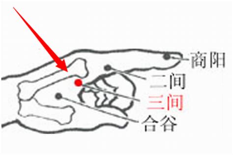 三間穴位置|三間穴可改善咽喉腫痛,扁桃腺炎,落枕及肩周炎